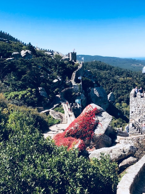 Beyond the Screen: Real-World Locations That Inspired Your Favorite Series