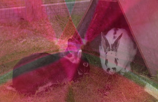 A split image showing Tim Kono, Bunny Folger, and Ben Glenroy, with faded overlays of Arconia blueprints, suggesting connections between the victims and the building's hidden history.